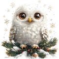 11 Christmas Owl Clipart, Christmas Card, Printable Watercolor clipart, High Quality JPGs, Digital Download, Paper craft, junk journals