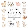 23 Farm Animals Clipart, Cute Farm Animals, Horse, Pig, Cow, Duck, Baby Animals, Barn Clipart, Watercolour Farm Life, Digital Download S264
