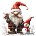 12 Festive Gnome Set 2, Christmas Gnome Clipart, Printable Watercolor clipart, High Quality PNGs, Digital download, Paper craft, journaling