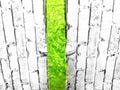 Green Furry Ribbon, Grinch Ribbon, 1.5?x10YD, RN588409