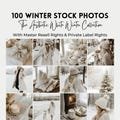 White Winter Stock Photos MRR | Master Resell Rights | Festive Photography | Aesthetic Christmas Stock Photos | White Christmas Photos | PLR