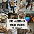700+ Aesthetic Stock Images | PLR & MRR Included | Canva Stock Photo Bundle for Social Media, Branding Digital Marketing Stock Photos
