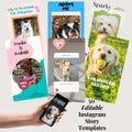 Animal Rescue Instagram Story Templates Canva Editable Social Media Kit for Pet Adoption Events Fundraisers Marketing Tools Adoptable Pets