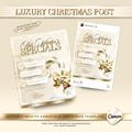 Luxury Gold & Beige Beauty Christmas Flyer, Editable Canva Template, Instagram Post, Beauty Template, Beauty Salon Flyer, Winter Offer Post